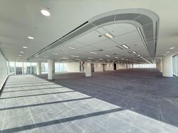 Shaw Towers (D7), Office #554600791